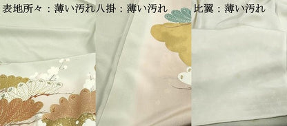 平和屋着物■豪華色留袖　駒刺繍　枝松花文　暈し染め　金彩　正絹　逸品　DABJ5046qa