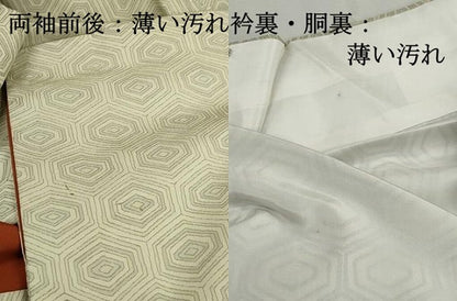 平和屋着物■上質な紬　亀甲文　正絹　逸品　DABJ5047qa