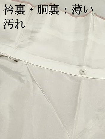 平和屋着物■上質な紬　花鳥文　正絹　逸品　DABJ5058qa