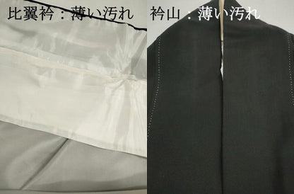 平和屋着物■豪華黒留袖　作家物　風景樹林文　金彩　正絹　逸品　DABJ5061qa