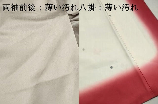 平和屋着物■訪問着　刺繍　枝椿文　暈し染め　銀彩　正絹　逸品　DABJ5078qa