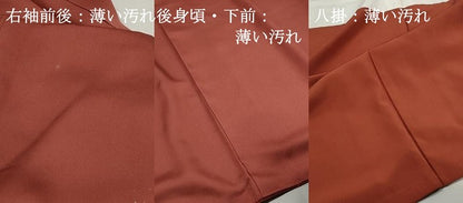 平和屋着物■訪問着　花唐草文　暈し染め　金彩　正絹　逸品　DABJ5081qa