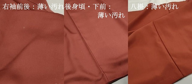 平和屋着物■訪問着　花唐草文　暈し染め　金彩　正絹　逸品　DABJ5081qa