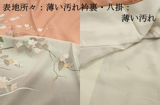 平和屋着物■訪問着　友禅　作家物　枝花文　牡丹　暈し染め　正絹　逸品　DABJ5101qa