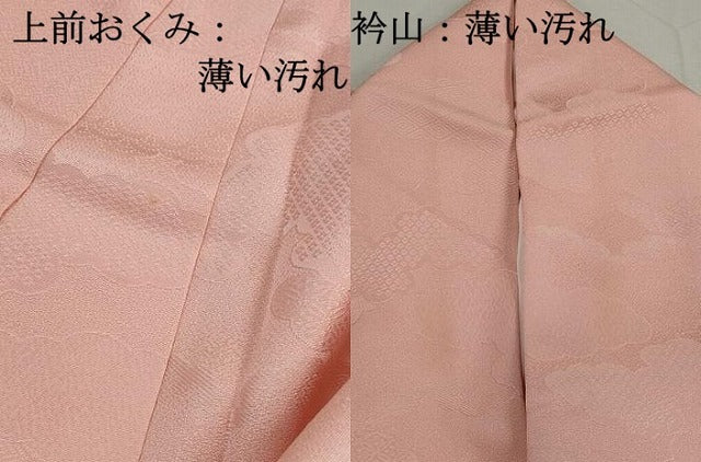 平和屋着物■上質な色無地　重ね雲地紋　虹色　正絹　逸品　DABJ5123qa