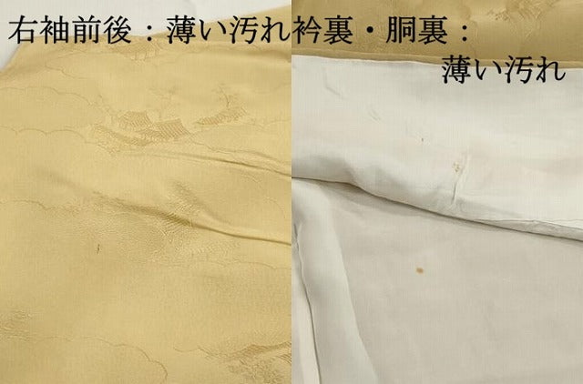 平和屋着物■上質な色無地　雲取り風景地紋　淡黄色　正絹　逸品　DABJ5144qa
