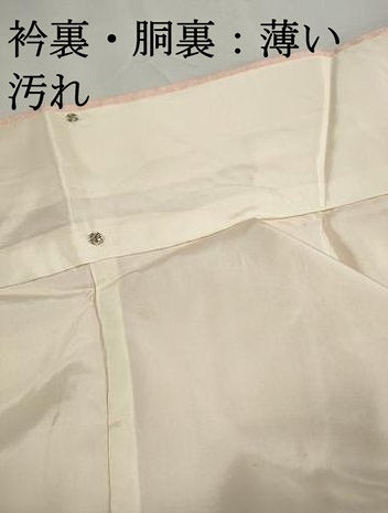 平和屋着物■訪問着　手描き　花鳥文　枝梅　正絹　逸品　DABJ5145qa