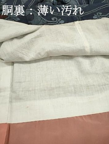 平和屋着物■本場大島紬　割り込み絣　幾何学花文　正絹　逸品　DABJ5147qa