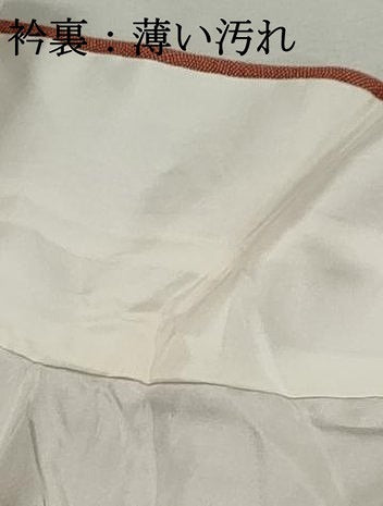 平和屋着物■江戸小紋　鮫小紋柄　鈴乃屋扱い　正絹　逸品　DABJ5155qa