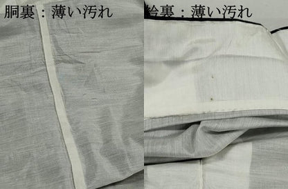 平和屋着物■上質な紬　風景花文　正絹　逸品　DABJ5159qa