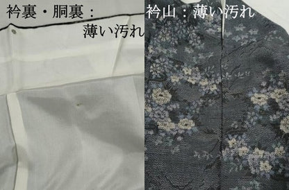平和屋着物■上質な紬　草花文　正絹　逸品　DABJ5167qa