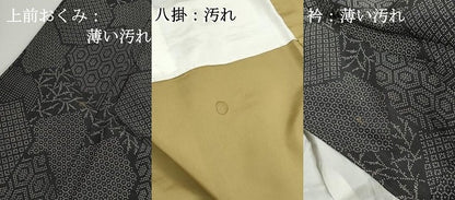 平和屋着物■上質な紬　亀甲文　正絹　逸品　DABJ5169qa