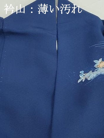 平和屋着物■訪問着　立波花鳥文　舟　暈し染め　金彩　正絹　逸品　DABJ5176qa