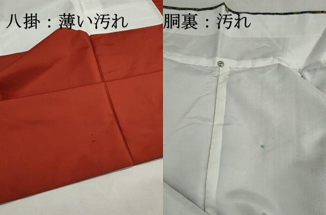 平和屋着物■本場染大島紬　7マルキ　風景花文　楓　牡丹　正絹　逸品　DABJ5177qa