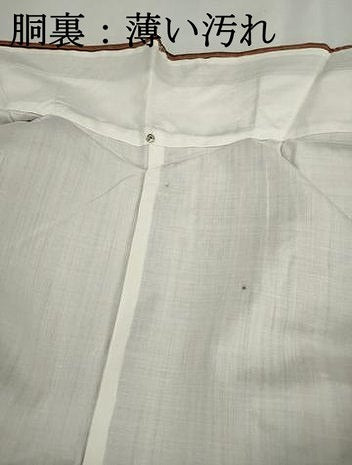 平和屋着物■上質な紬　間道　正絹　逸品　DABJ5180qa