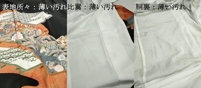 平和屋着物■豪華黒留袖　流水花鳥文　金彩　正絹　逸品　DABJ5191qa