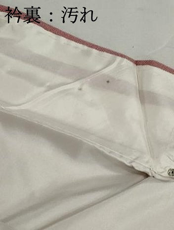 平和屋着物■江戸小紋　鮫小紋柄　正絹　逸品　DABJ5196qa