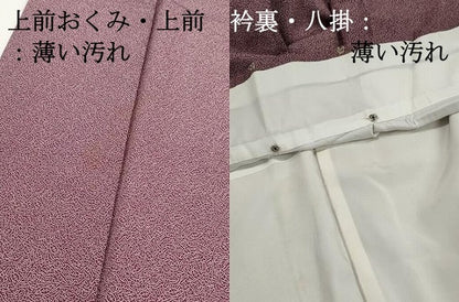 平和屋着物■江戸小紋　鶴亀　正絹　逸品　DABJ5208qa