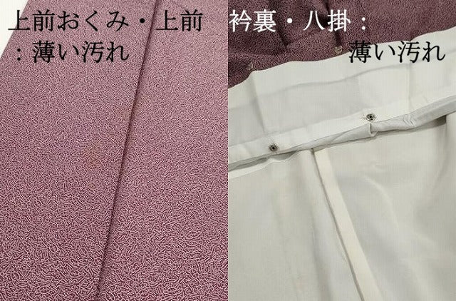 平和屋着物■江戸小紋　鶴亀　正絹　逸品　DABJ5208qa
