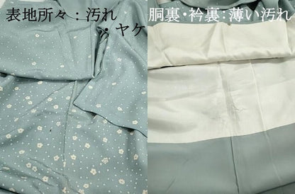 平和屋着物■訪問着　舞花文　正絹　逸品　DABJ5234qa