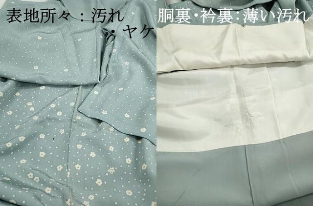 平和屋着物■訪問着　舞花文　正絹　逸品　DABJ5234qa