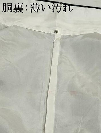 平和屋着物■上質な紬　風景花文　正絹　逸品　DABJ5235qa