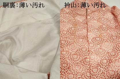 平和屋着物■上質な小紋　花尽くし文　菊　正絹　逸品　DABJ5247qa