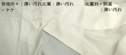 平和屋着物■豪華色留袖　作家物　陶器花鳥文　正絹　逸品　DABJ5262qa