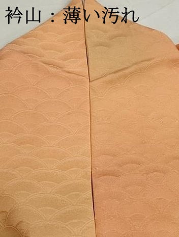 平和屋着物■上質な小紋　霞青海波地紋　暈し染め　正絹　逸品　DABJ5296qa