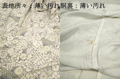 平和屋着物■上質な小紋　扇面辻が花文　鬼しぼ縮緬　正絹　逸品　DABJ5301qa