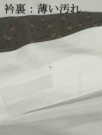 平和屋着物■上質な小紋　花間道　正絹　逸品　DABJ5302qa