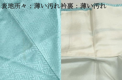 平和屋着物■訪問着　駒刺繍　檜扇花文　牡丹　金彩　正絹　逸品　DABJ5323qa