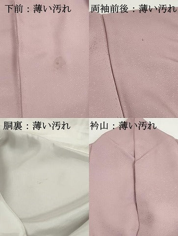 平和屋着物■豪華色留袖　総刺繍　笹の葉文　薄柿色　正絹　逸品　DABJ5333qa