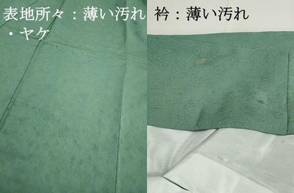 平和屋着物■上質な色無地　茶の湯染　利休彩夢　草花地紋　若竹色　正絹　逸品　DABJ5351qa