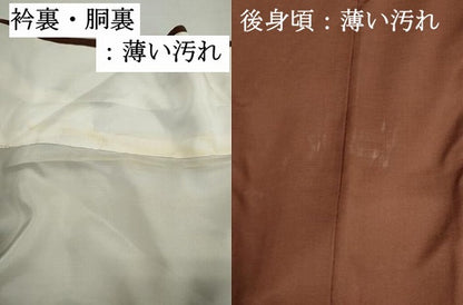 平和屋着物■訪問着　流水片輪車文　金彩　正絹　逸品　DABJ5355qa