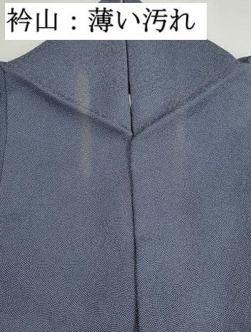 平和屋着物■伝統工芸師　服部光擴　江戸小紋　鮫小紋柄　正絹　逸品　DABJ5357qa