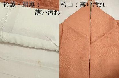 平和屋着物■上質な色無地　七宝雲取り地紋　曙色　正絹　逸品　DABJ5371qa