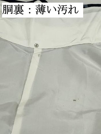 平和屋着物■上質な紬　舞蝶文　正絹　逸品　DABJ5385qa