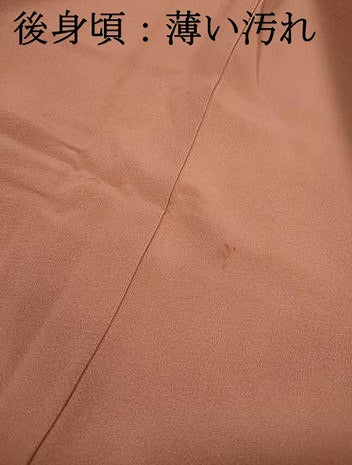 平和屋着物■豪華色留袖　作家物　四季万葉　風景樹林文　暈し染め　金彩　正絹　逸品　DABJ5393qa