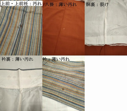 平和屋着物■上質な紬　間道　正絹　逸品　DABJ5413qa