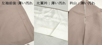 平和屋着物■豪華色留袖　渡橋風景枝松花文　暈し染め　正絹　逸品　DABJ5428qa