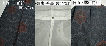 平和屋着物■本場大島紬　亀甲花文　正絹　逸品　DABJ5432qa