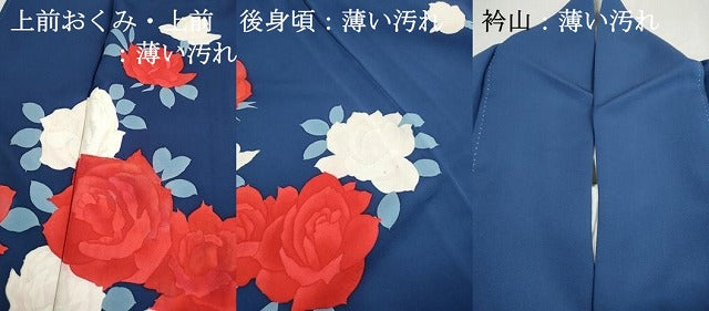 平和屋着物■訪問着　薔薇尽くし　バラ　正絹　逸品　DABJ5483qa