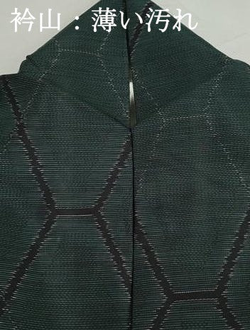平和屋着物■本場大島紬　亀甲文　正絹　逸品　DABJ5500qa