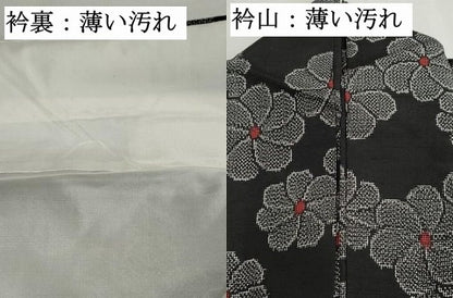 平和屋着物■上質な紬　舞花文　黒地　正絹　逸品　DABJ5502qa