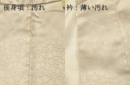 平和屋着物■訪問着　枝花文　金彩　正絹　逸品　DABJ5641qp