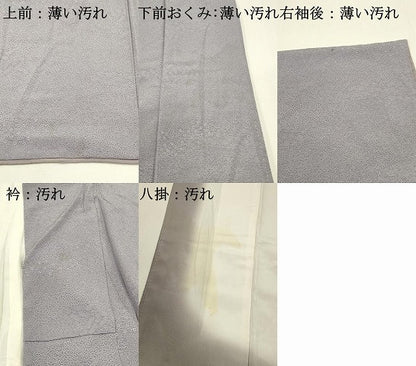 平和屋着物■江戸小紋　吉祥小紋柄　正絹　逸品　DABJ5792qp