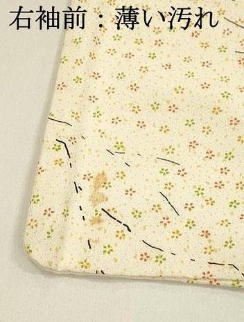 平和屋着物■上質な小紋　枝花尽くし　正絹　逸品　DABJ5993qp