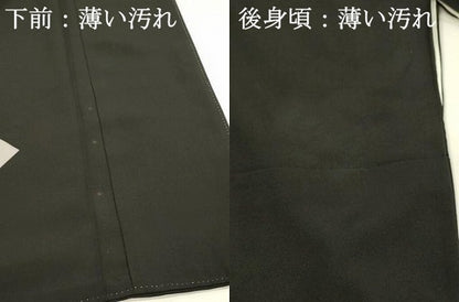 平和屋着物■豪華黒留袖　駒刺繍　御所車花文　金彩　正絹　逸品　DABJ5997qp