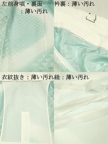 平和屋着物■長襦袢　無双仕立て　流水鱗地紋　暈し染め　洗える着物　DABJ5998qp